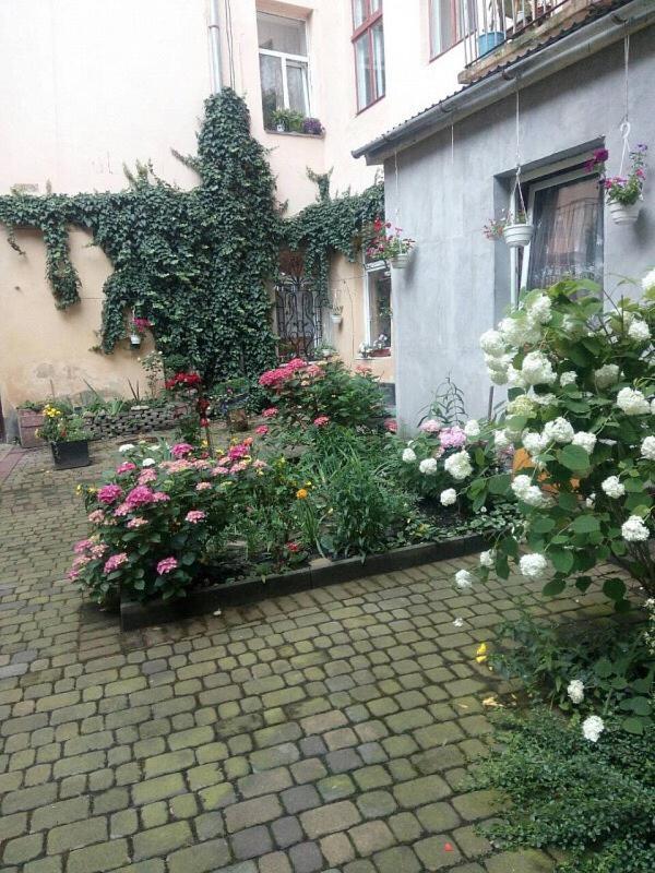 On Kopernik Street 9
